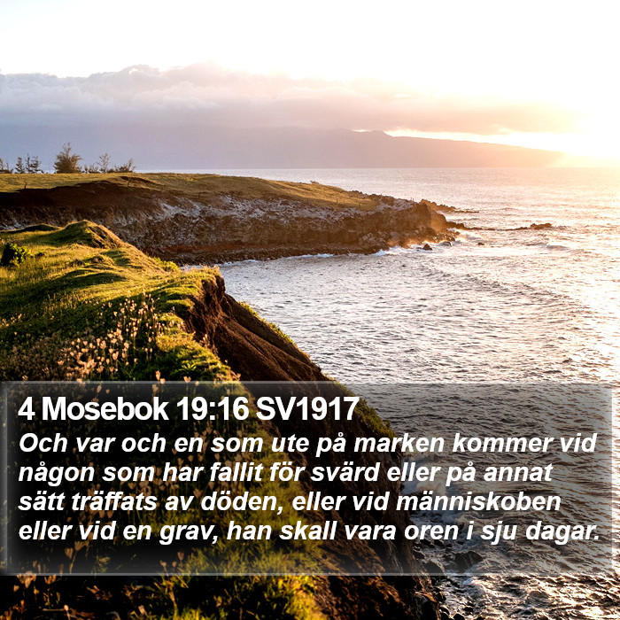 4 Mosebok 19:16 SV1917 Bible Study