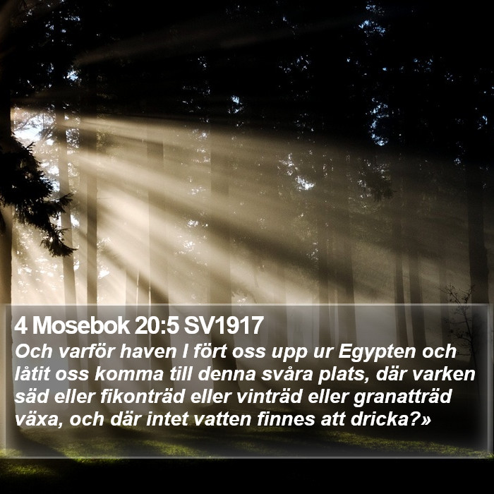 4 Mosebok 20:5 SV1917 Bible Study