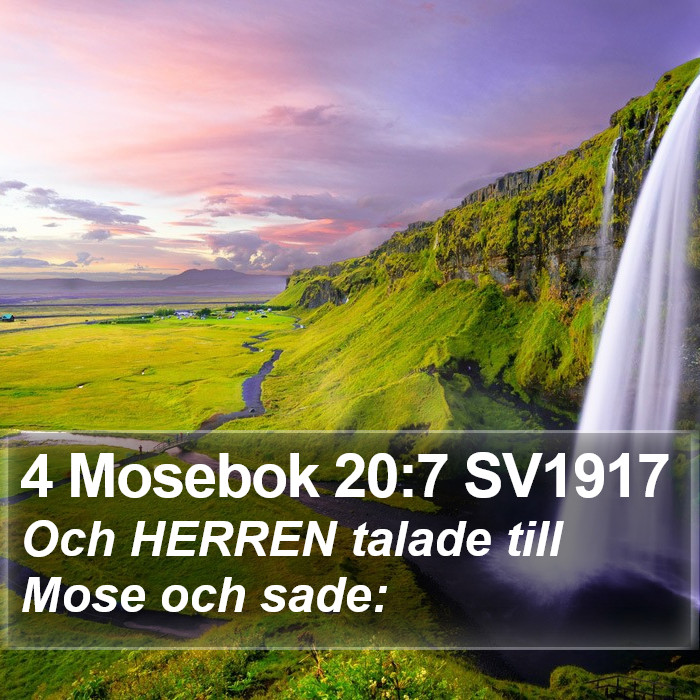 4 Mosebok 20:7 SV1917 Bible Study