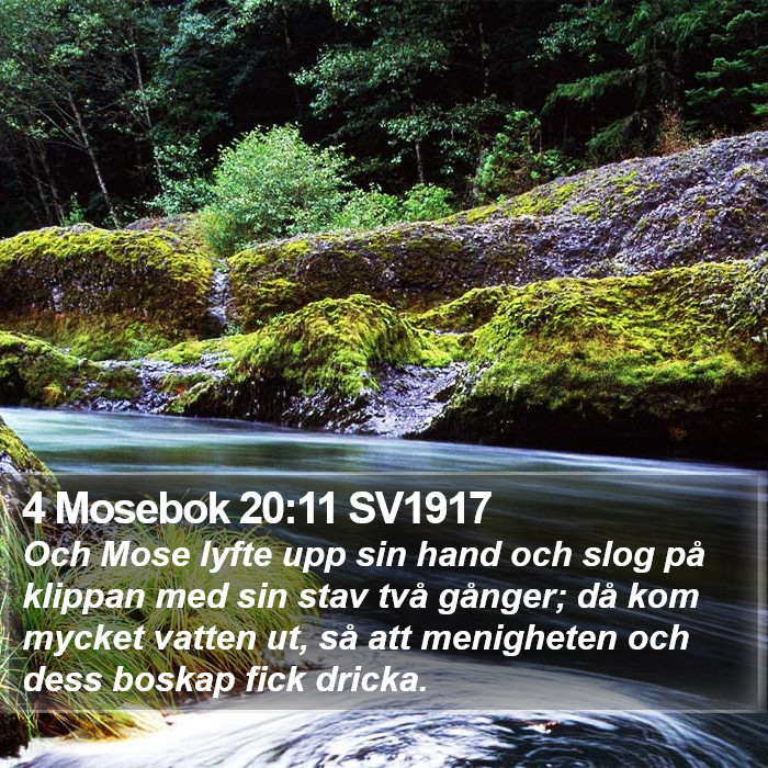4 Mosebok 20:11 SV1917 Bible Study