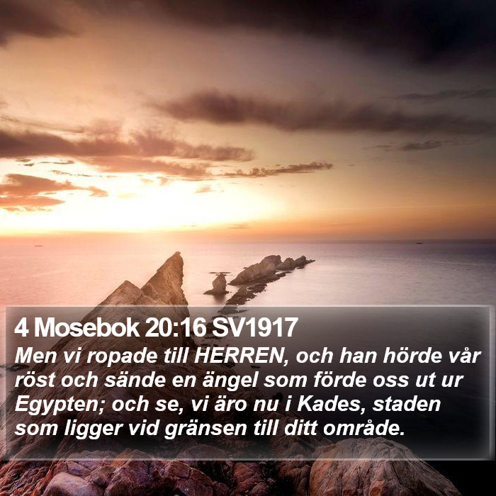 4 Mosebok 20:16 SV1917 Bible Study