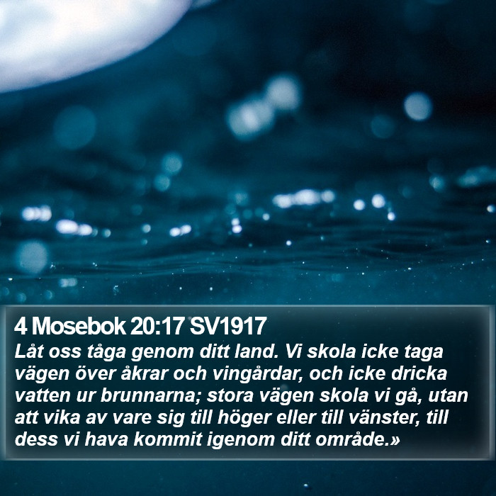 4 Mosebok 20:17 SV1917 Bible Study
