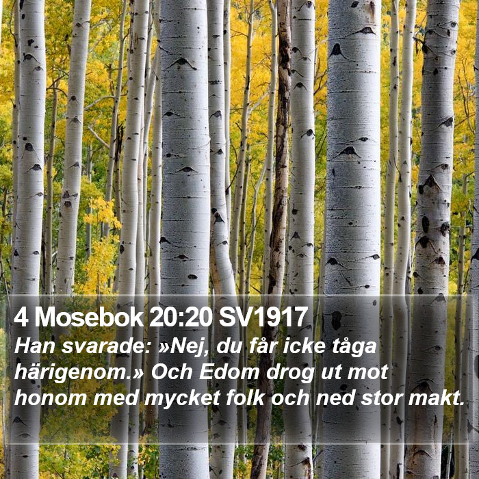 4 Mosebok 20:20 SV1917 Bible Study