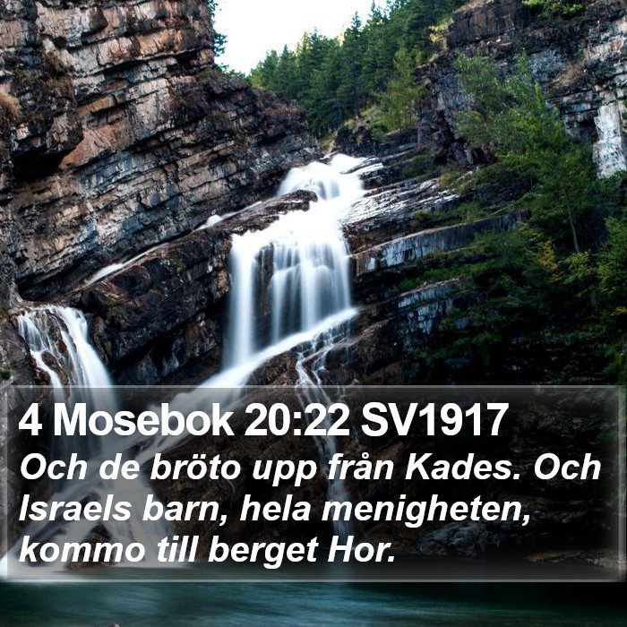 4 Mosebok 20:22 SV1917 Bible Study