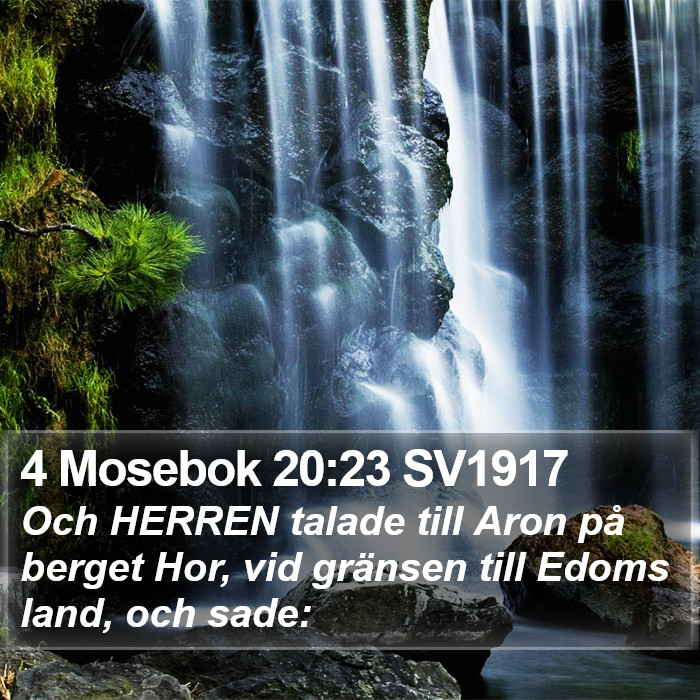 4 Mosebok 20:23 SV1917 Bible Study
