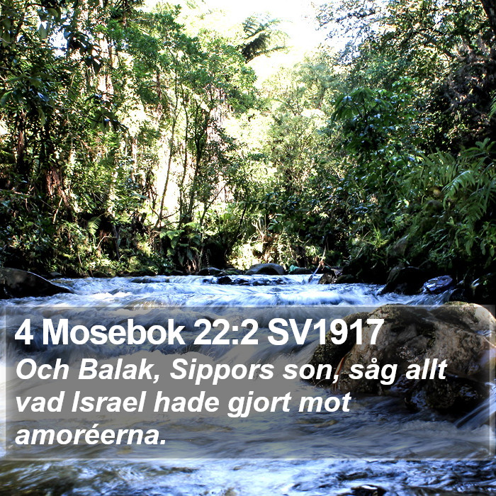 4 Mosebok 22:2 SV1917 Bible Study