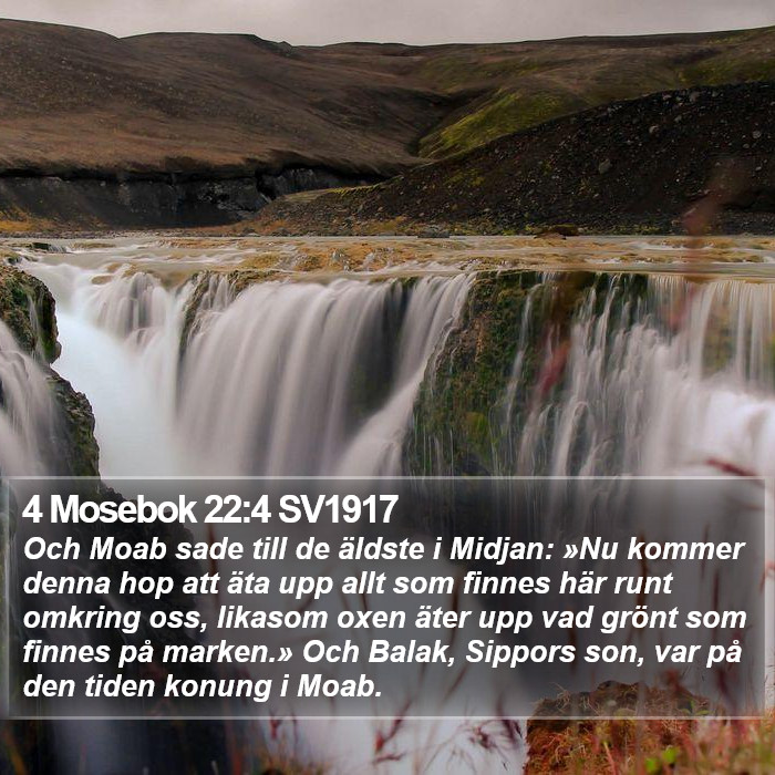 4 Mosebok 22:4 SV1917 Bible Study