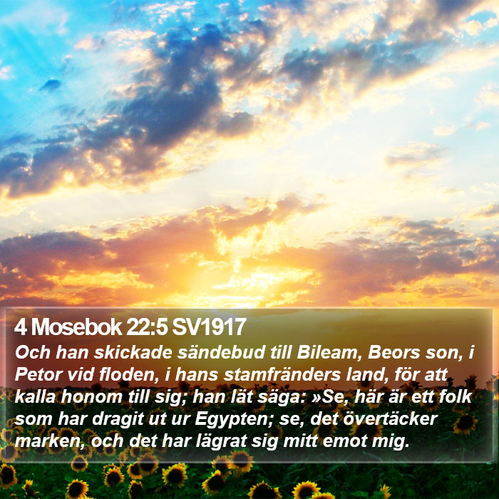 4 Mosebok 22:5 SV1917 Bible Study