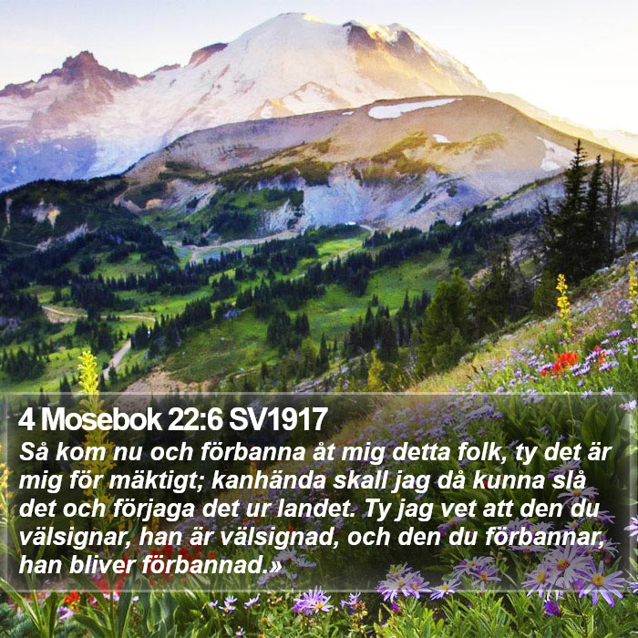 4 Mosebok 22:6 SV1917 Bible Study