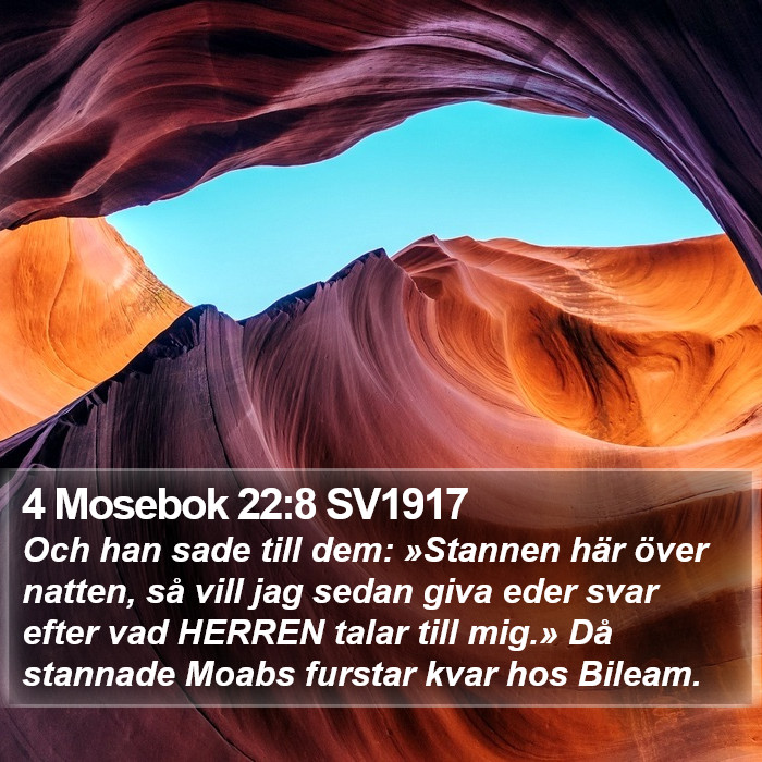 4 Mosebok 22:8 SV1917 Bible Study