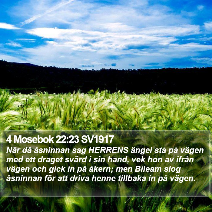 4 Mosebok 22:23 SV1917 Bible Study