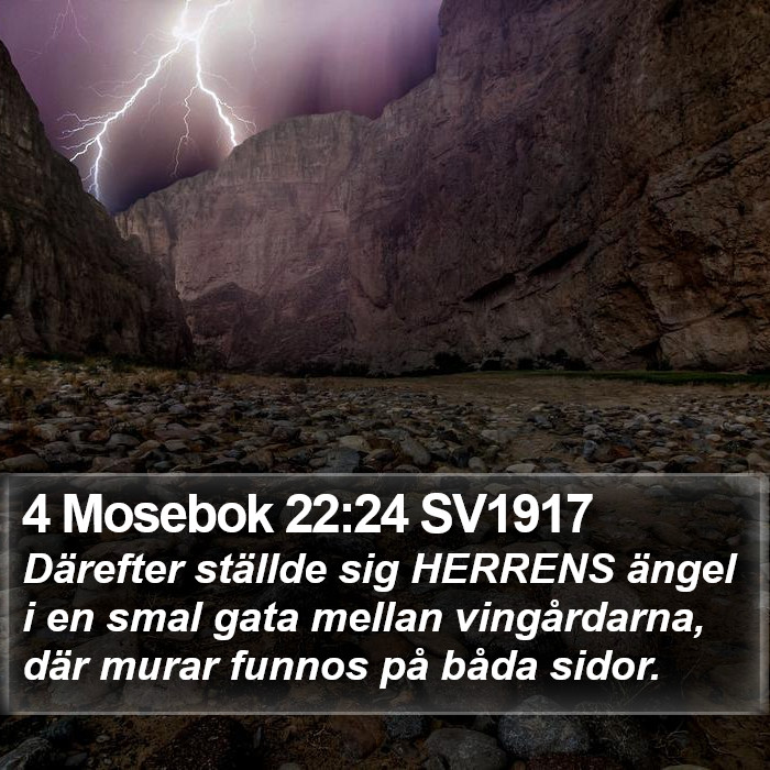 4 Mosebok 22:24 SV1917 Bible Study