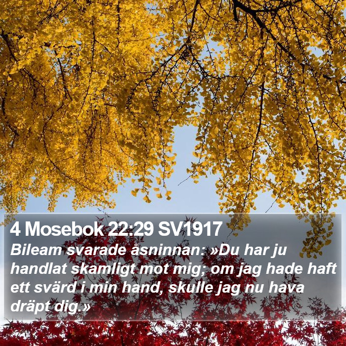 4 Mosebok 22:29 SV1917 Bible Study