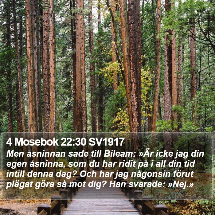 4 Mosebok 22:30 SV1917 Bible Study