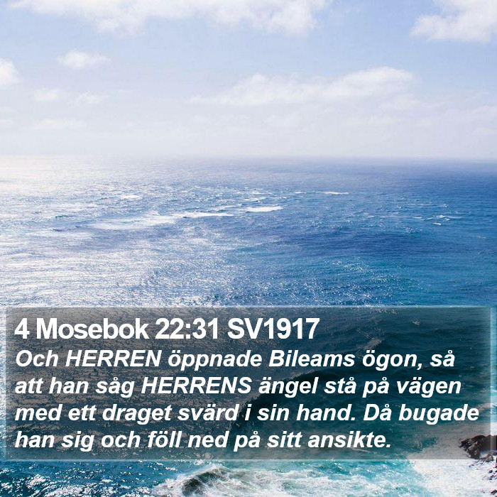 4 Mosebok 22:31 SV1917 Bible Study