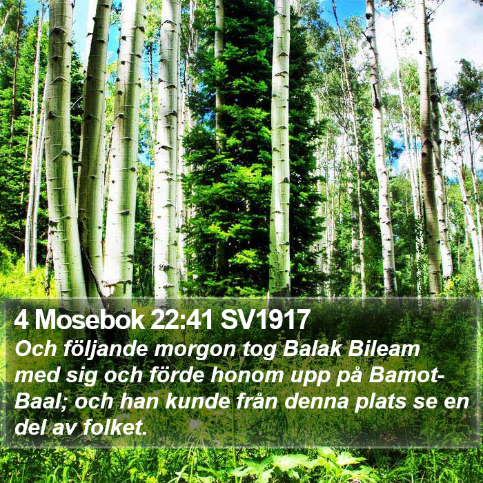 4 Mosebok 22:41 SV1917 Bible Study