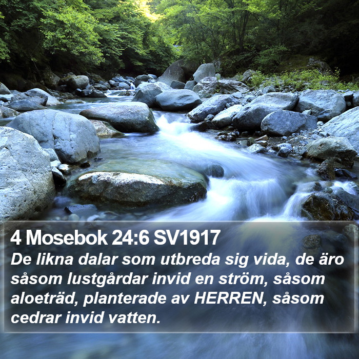 4 Mosebok 24:6 SV1917 Bible Study