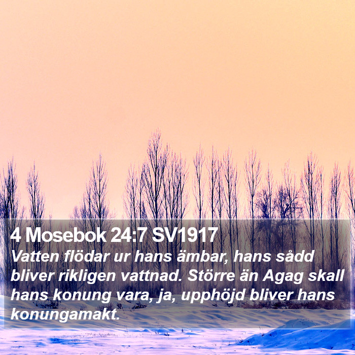 4 Mosebok 24:7 SV1917 Bible Study