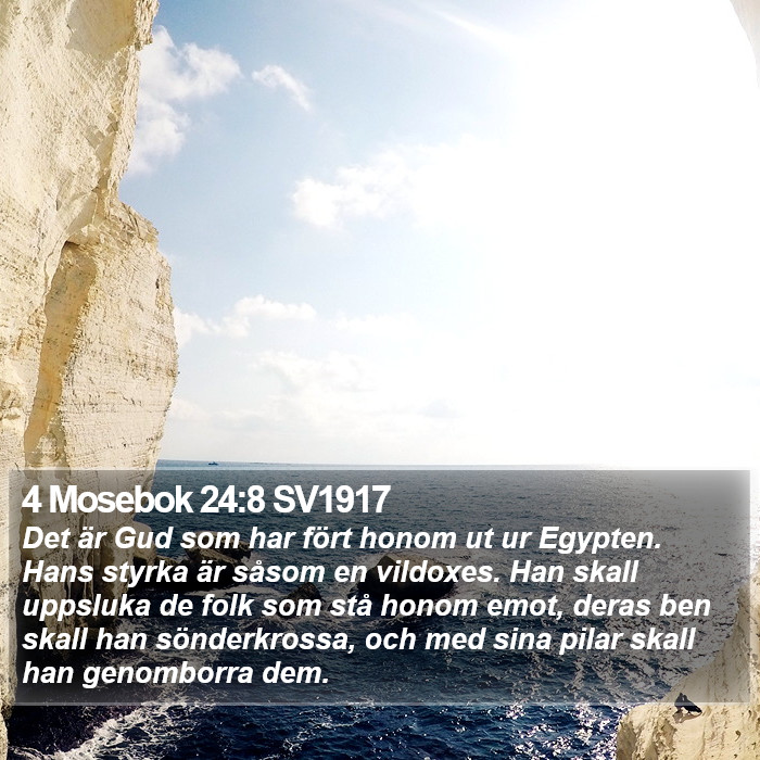 4 Mosebok 24:8 SV1917 Bible Study