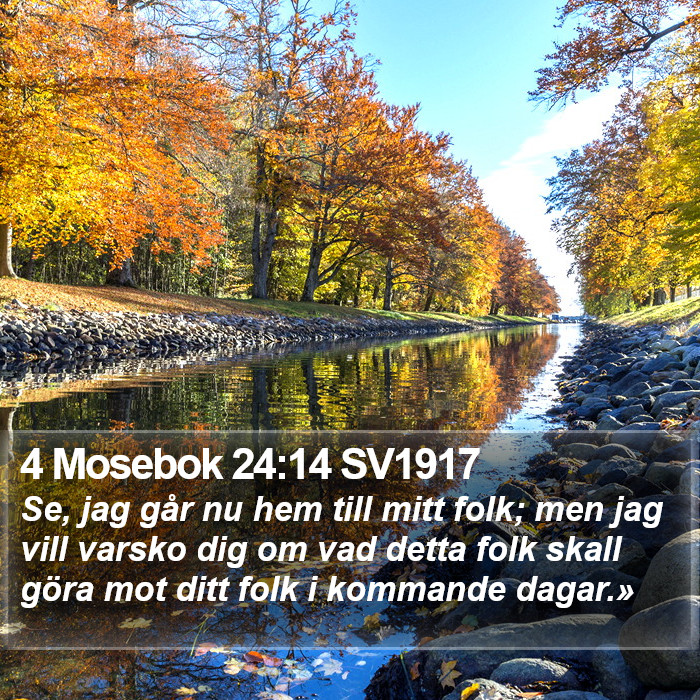 4 Mosebok 24:14 SV1917 Bible Study