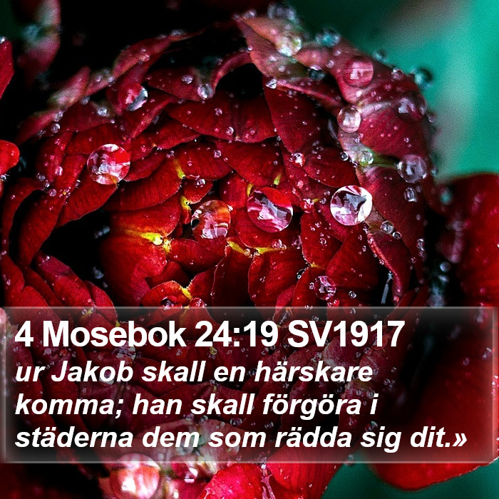 4 Mosebok 24:19 SV1917 Bible Study