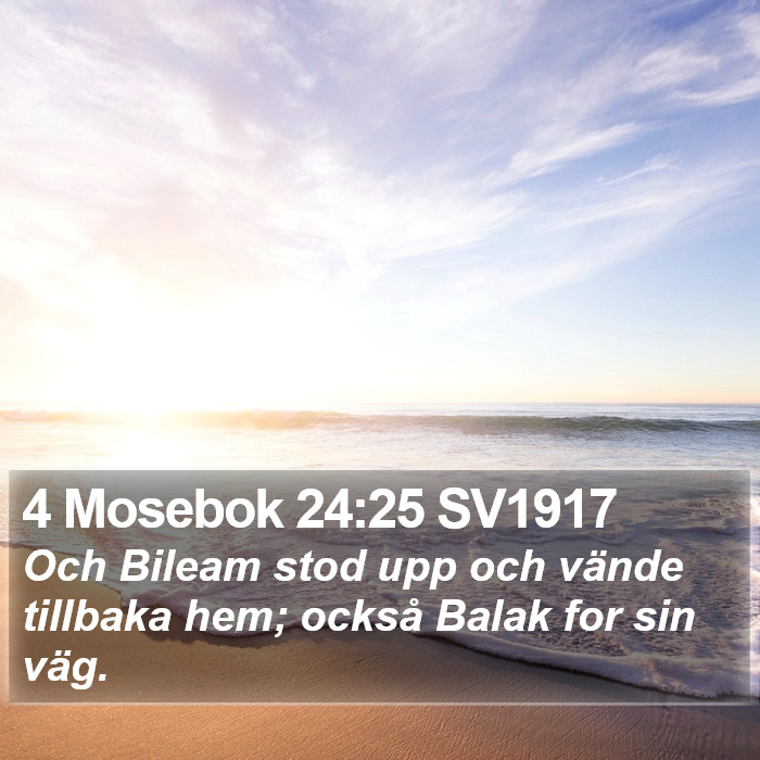 4 Mosebok 24:25 SV1917 Bible Study