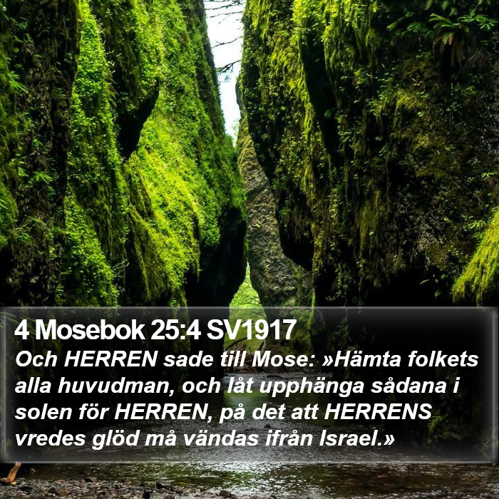 4 Mosebok 25:4 SV1917 Bible Study