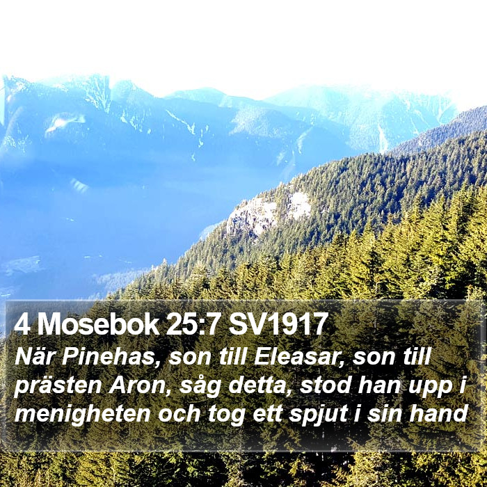 4 Mosebok 25:7 SV1917 Bible Study