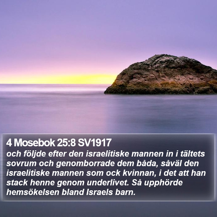 4 Mosebok 25:8 SV1917 Bible Study