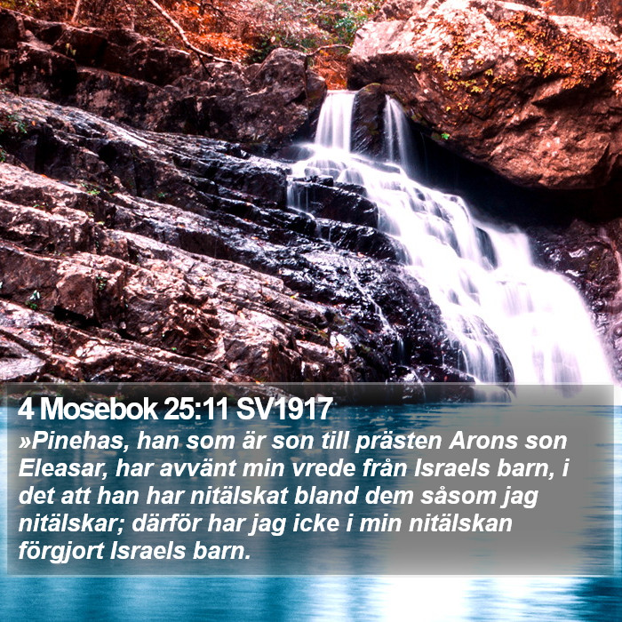 4 Mosebok 25:11 SV1917 Bible Study