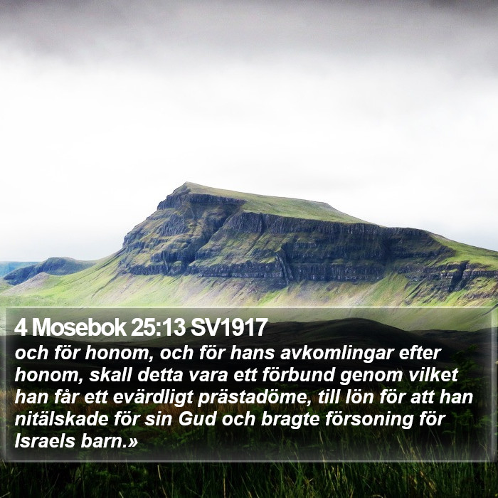 4 Mosebok 25:13 SV1917 Bible Study