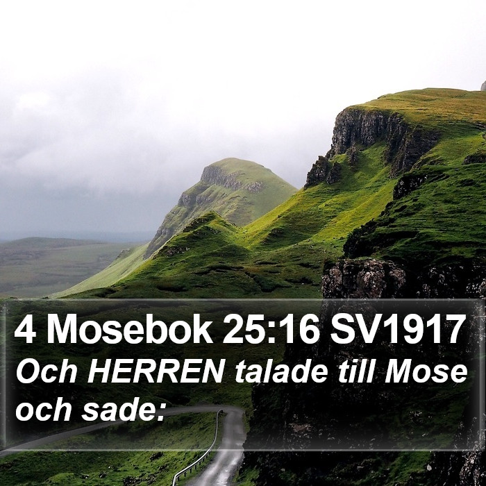 4 Mosebok 25:16 SV1917 Bible Study