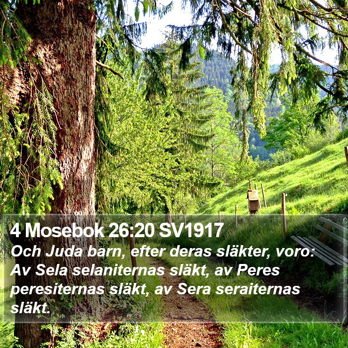 4 Mosebok 26:20 SV1917 Bible Study