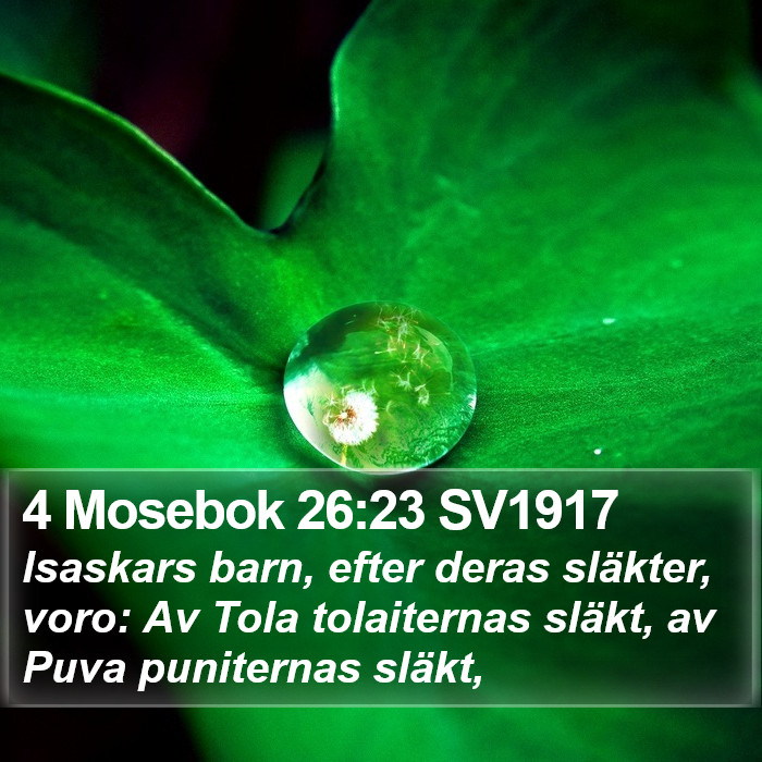 4 Mosebok 26:23 SV1917 Bible Study