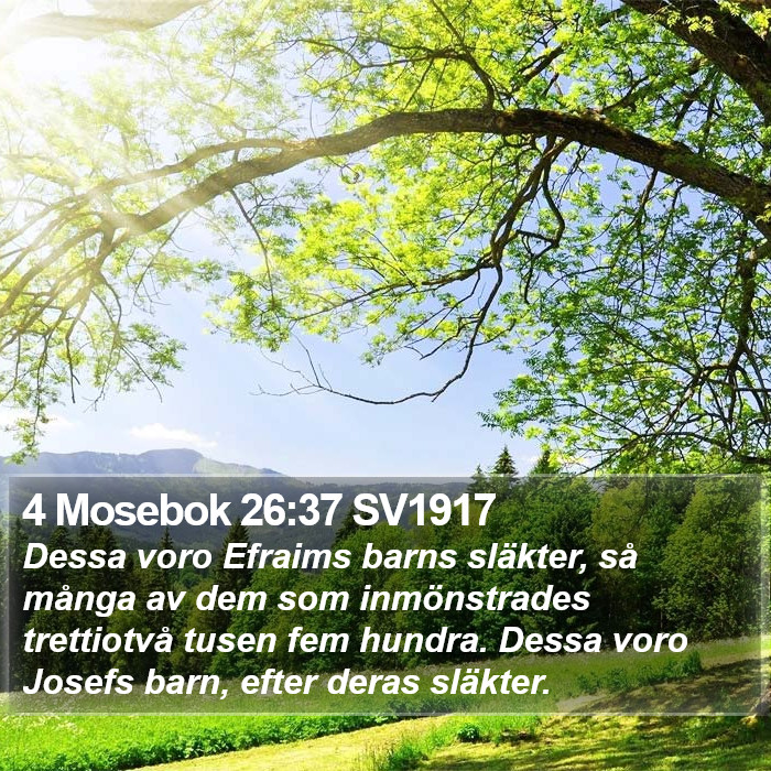 4 Mosebok 26:37 SV1917 Bible Study