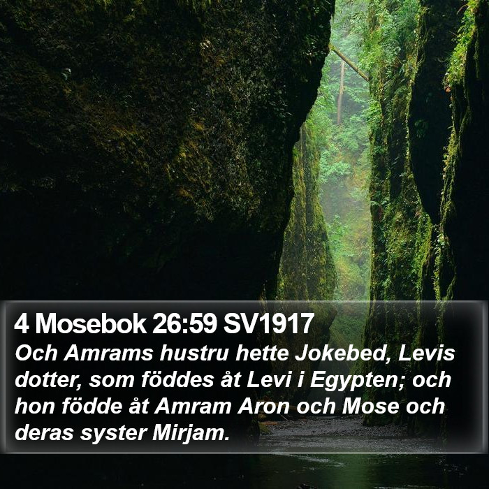 4 Mosebok 26:59 SV1917 Bible Study