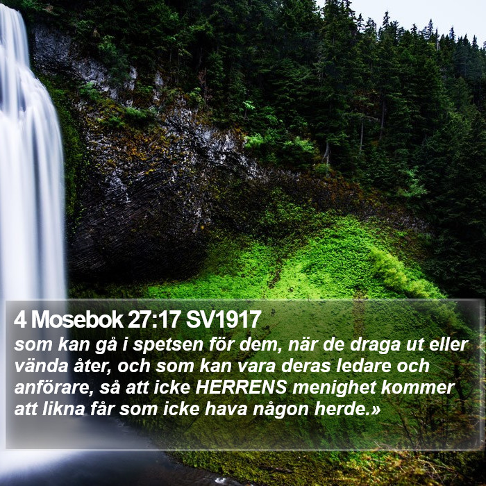 4 Mosebok 27:17 SV1917 Bible Study