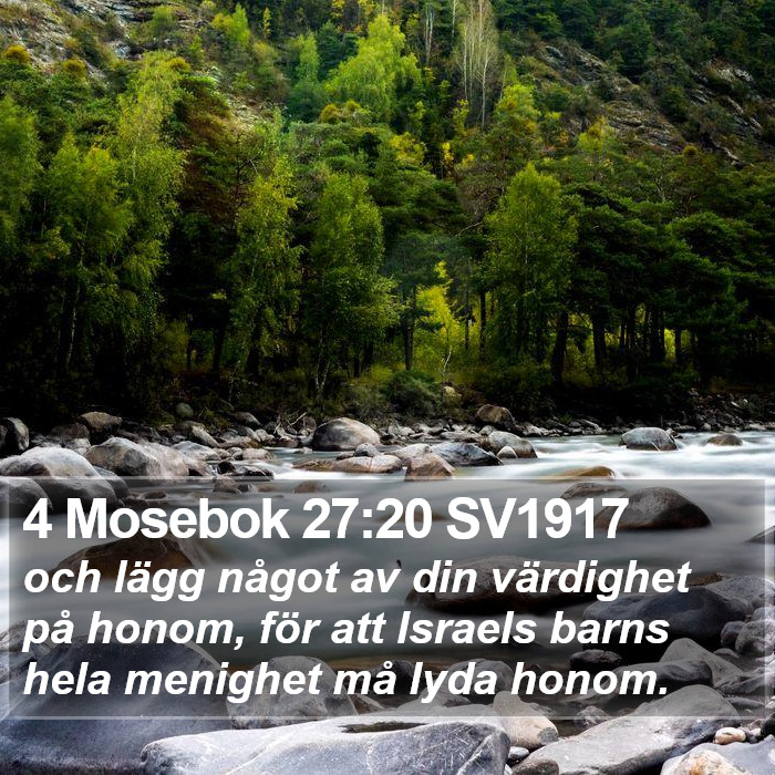 4 Mosebok 27:20 SV1917 Bible Study