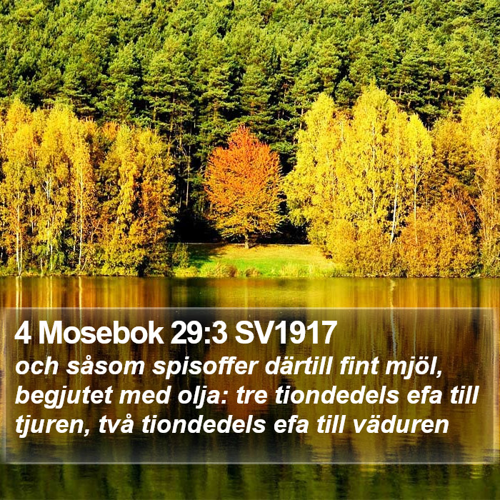 4 Mosebok 29:3 SV1917 Bible Study