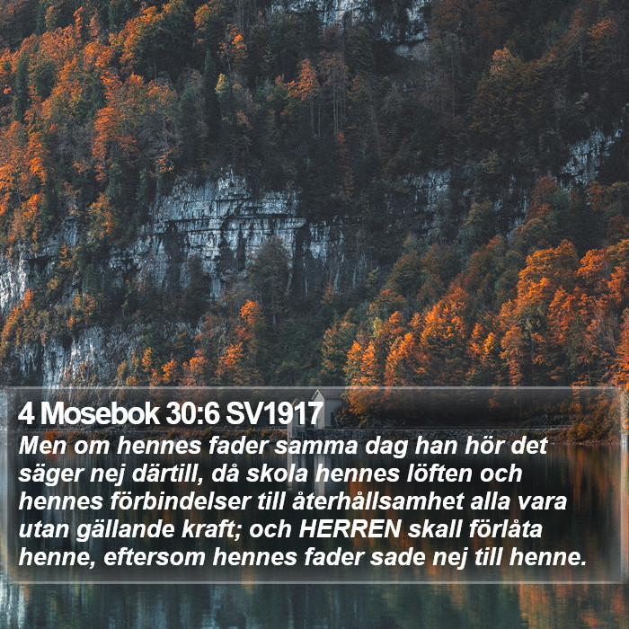 4 Mosebok 30:6 SV1917 Bible Study