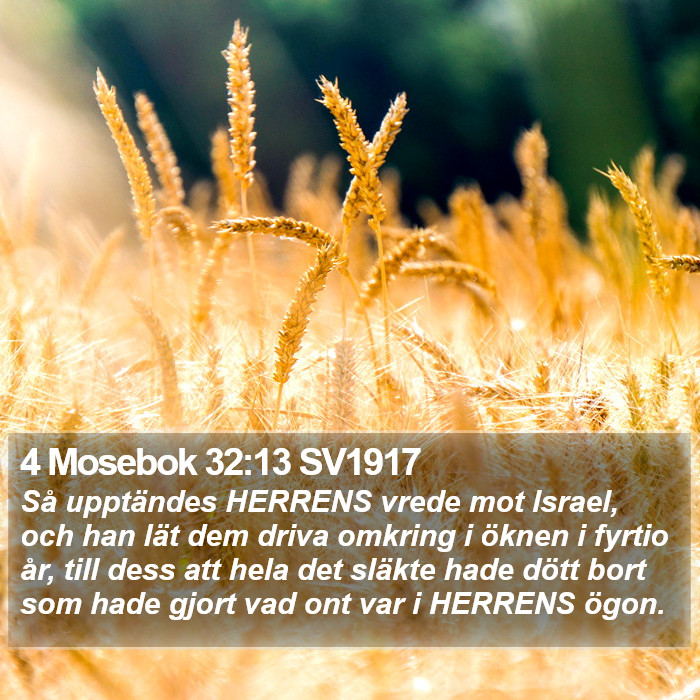 4 Mosebok 32:13 SV1917 Bible Study