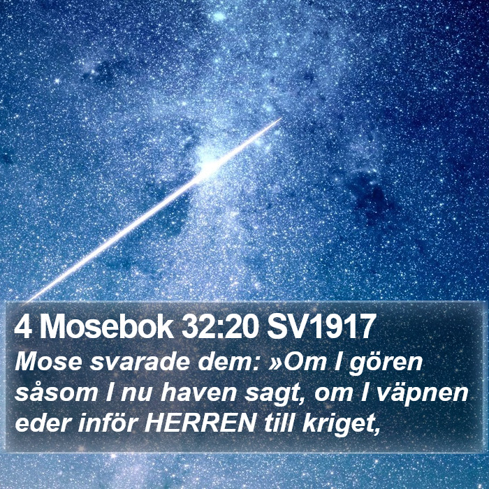 4 Mosebok 32:20 SV1917 Bible Study