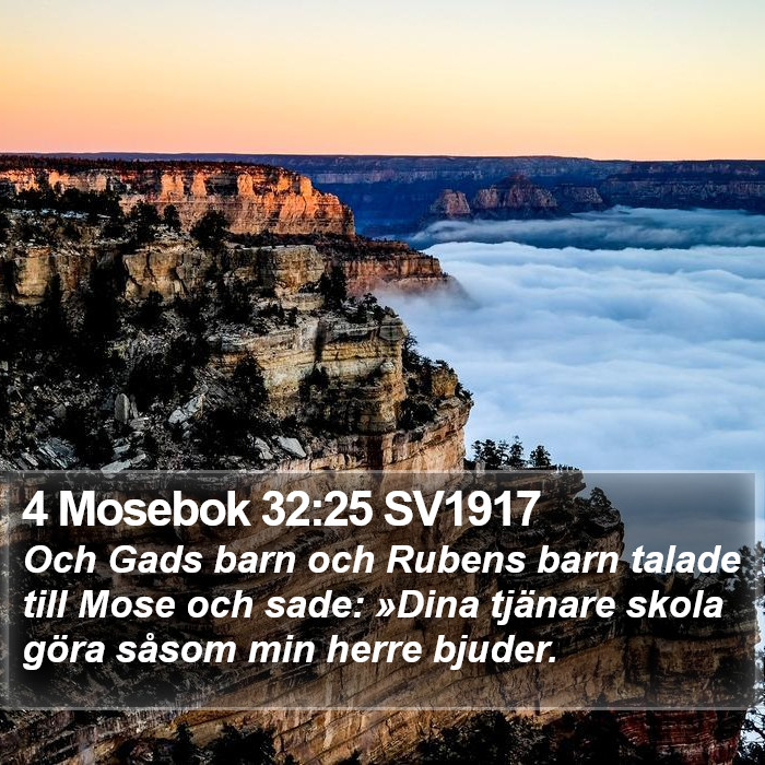 4 Mosebok 32:25 SV1917 Bible Study