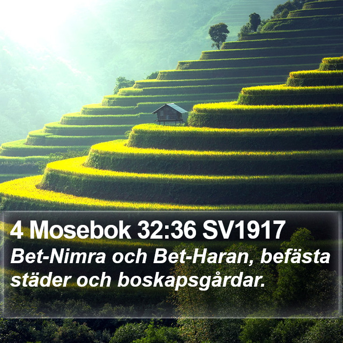 4 Mosebok 32:36 SV1917 Bible Study