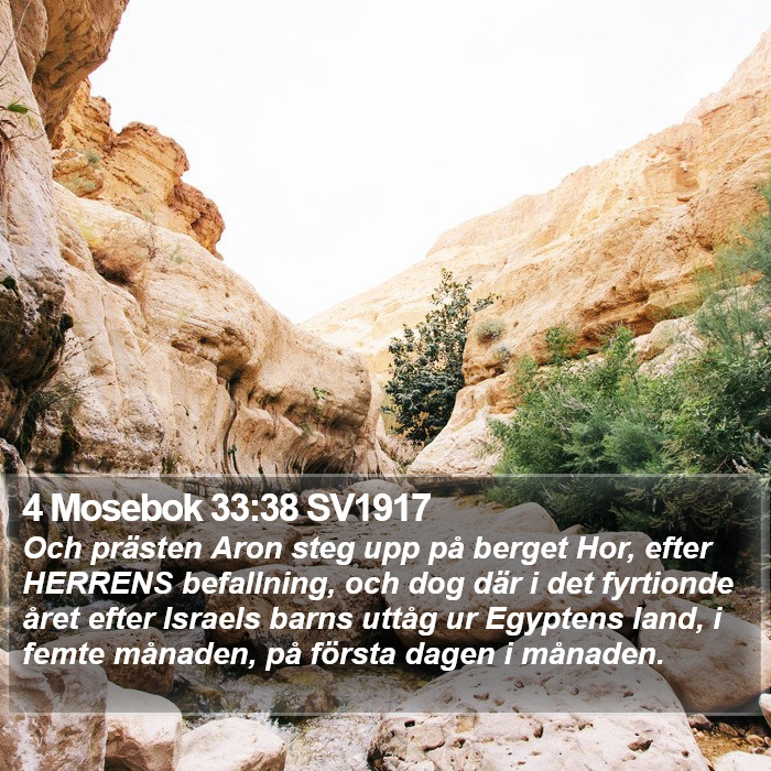 4 Mosebok 33:38 SV1917 Bible Study