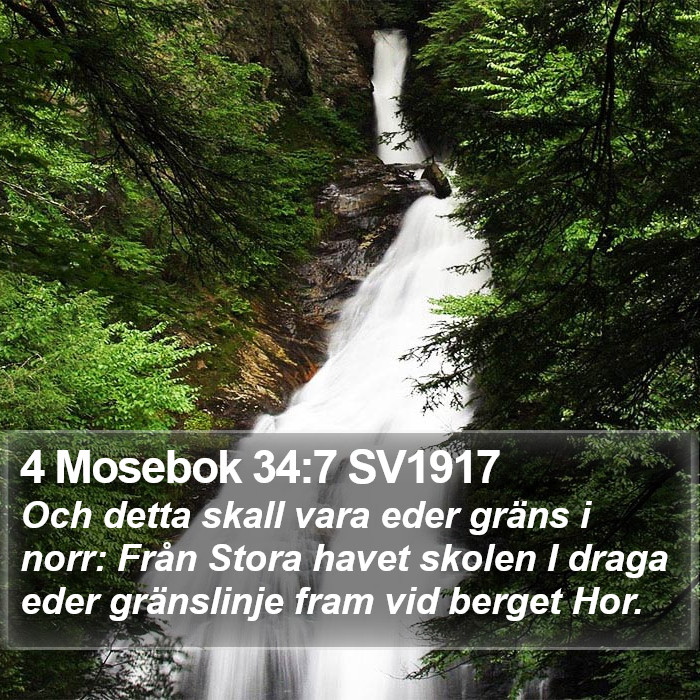 4 Mosebok 34:7 SV1917 Bible Study