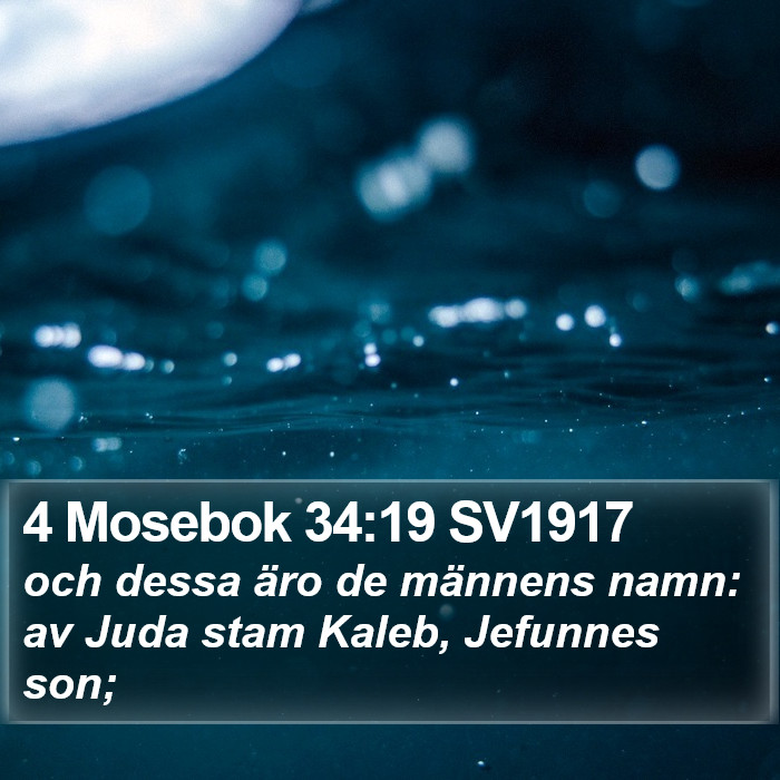 4 Mosebok 34:19 SV1917 Bible Study