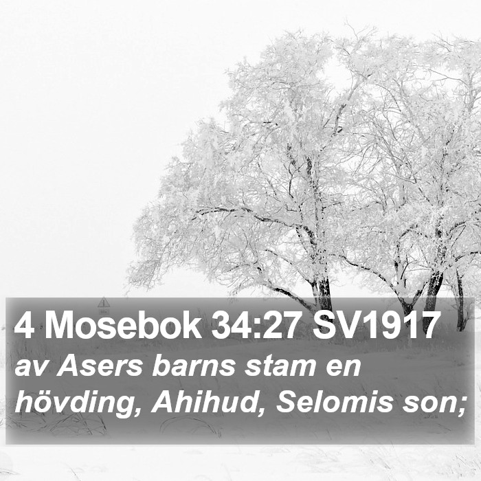 4 Mosebok 34:27 SV1917 Bible Study