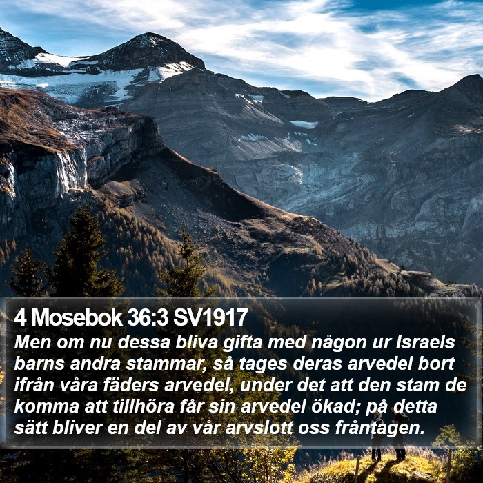 4 Mosebok 36:3 SV1917 Bible Study