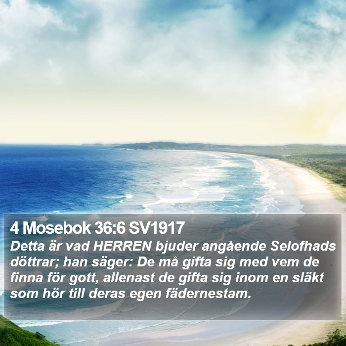 4 Mosebok 36:6 SV1917 Bible Study